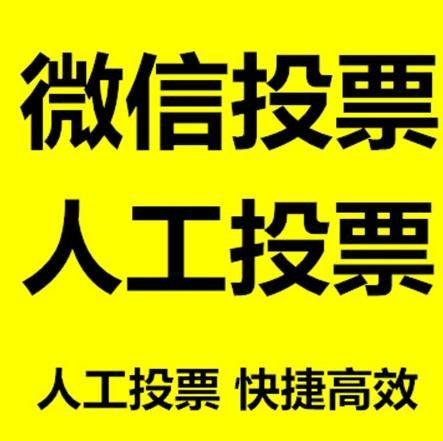云林县小程序微信拉票通过什么方式操作有哪些方法操作？